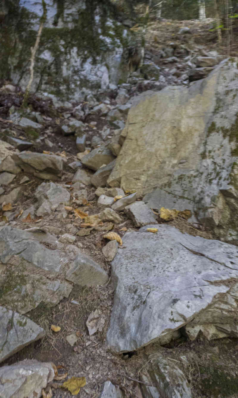 Huesca - parque nacional de Ordesa y Monte Perdido - valle de Escuaín 13 - garganta de Escuaín - sendero.jpg